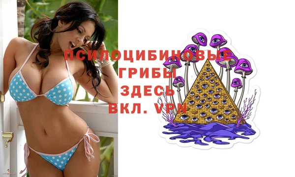 метадон Мегион