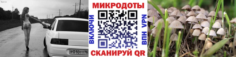 купить цена Оренбург блэк спрут вход Псилоцибиновые грибы мухоморы