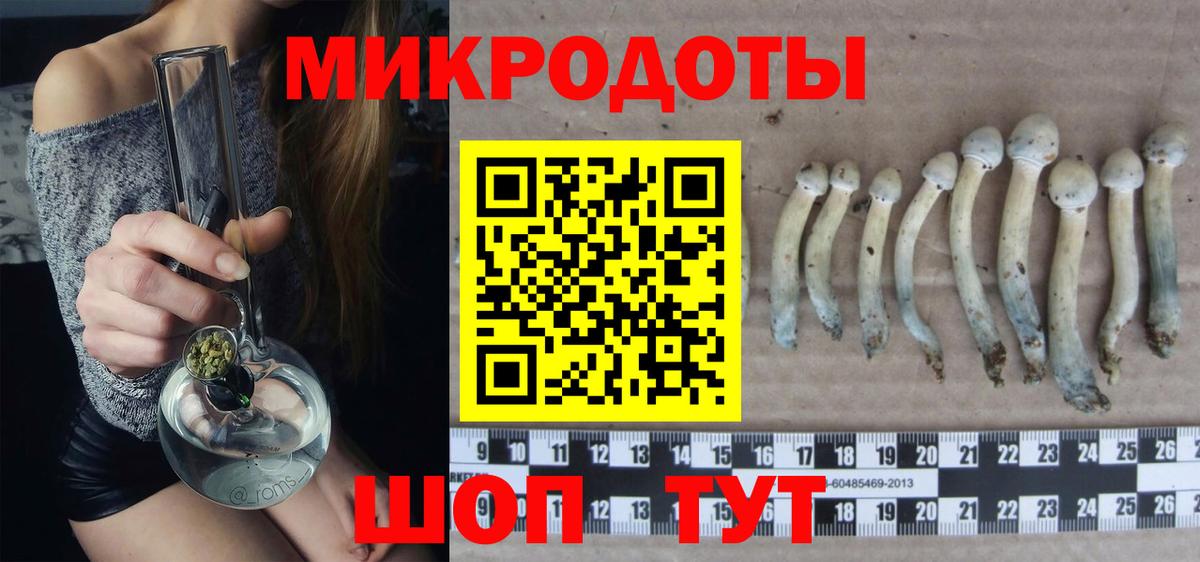 Псилоцибиновые грибы ЛСД Оренбург