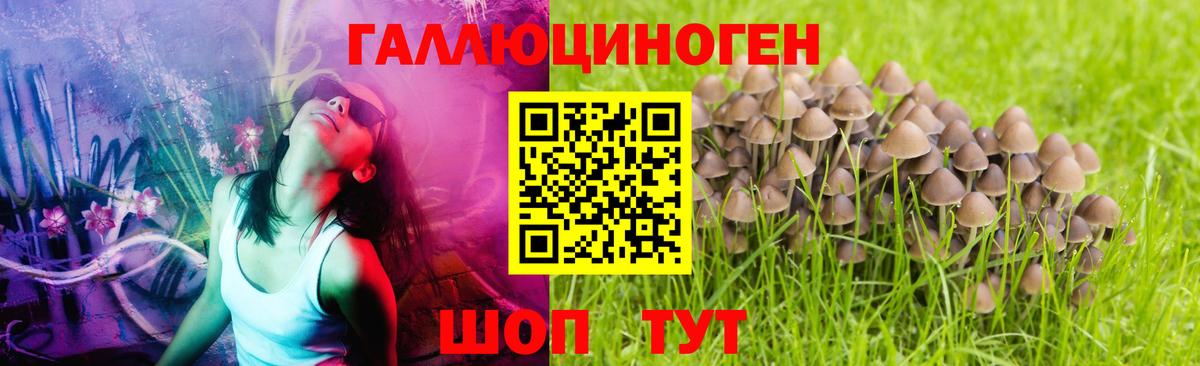 Галлюциногенные грибы Psilocybine cubensis  Псилоцибиновые грибы Cubensis  Вход с VPN  Оренбург 
